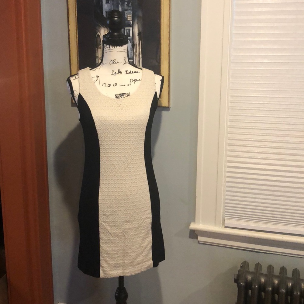 Kensie Fitted Stretch Front Lace Panel Dress (S)